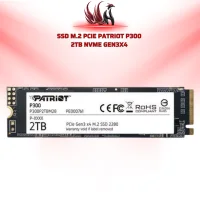 SSD Patriot P300 2TB NVMe PCIe Gen3x4 | HOCO STORE PC