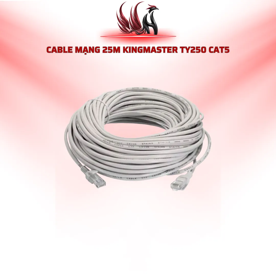 Cáp Mạng KINGMASTER TY300 30M CAT5E | HOCO STORE PC