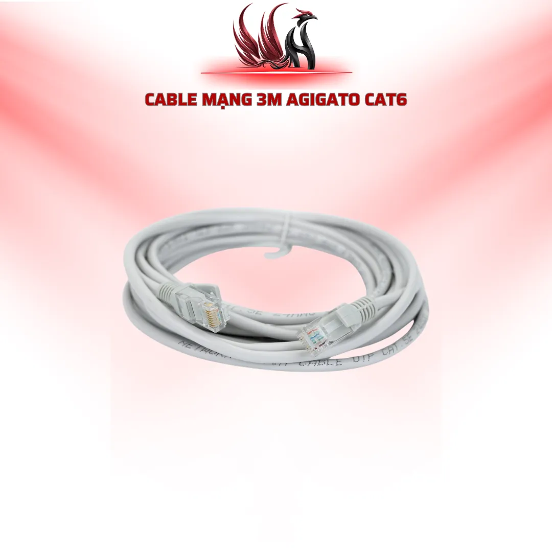 Cáp Mạng Agigato CAT6 3M RJ45 | HOCO STORE PC