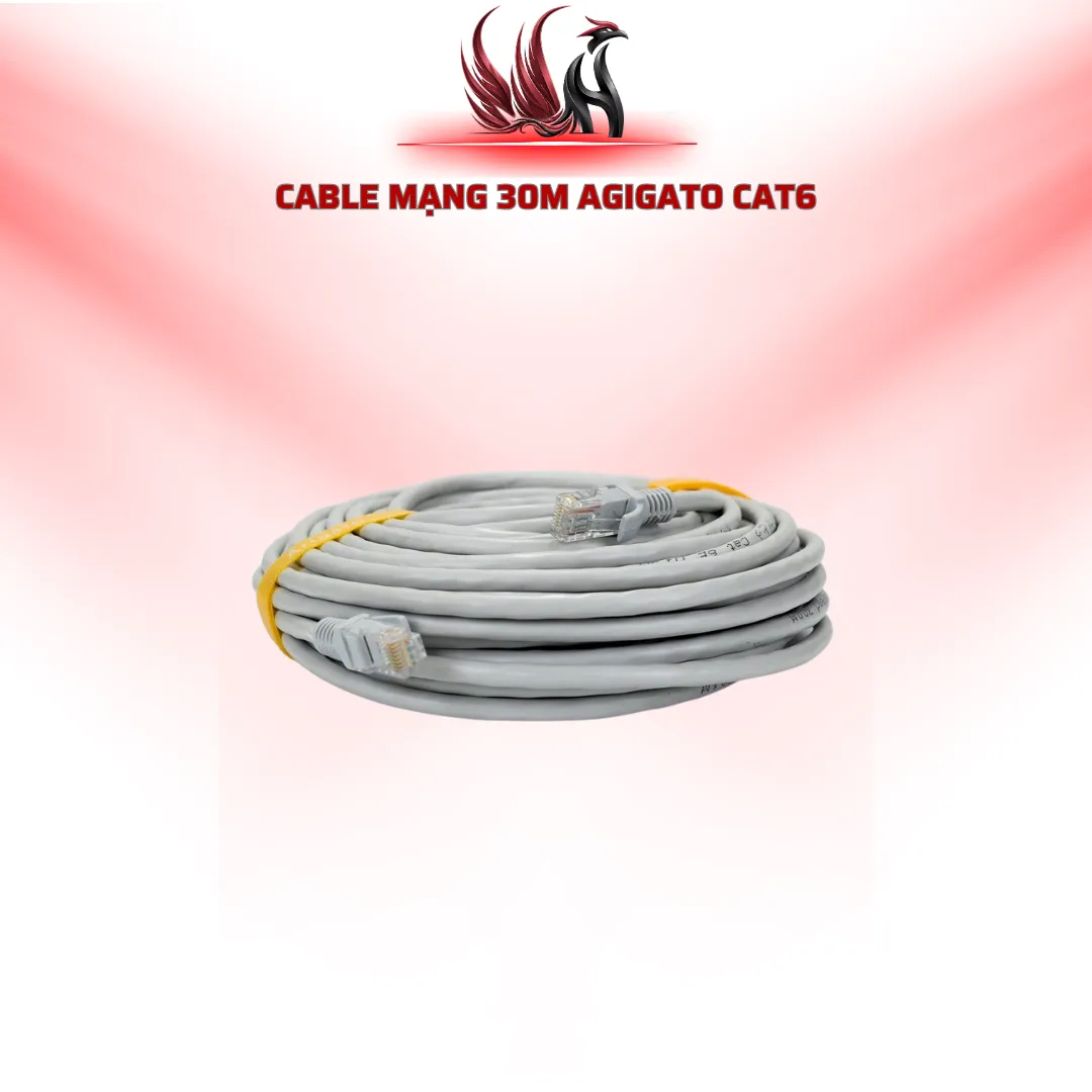 Cáp Mạng Agigato CAT6 30M RJ45 | HOCO STORE