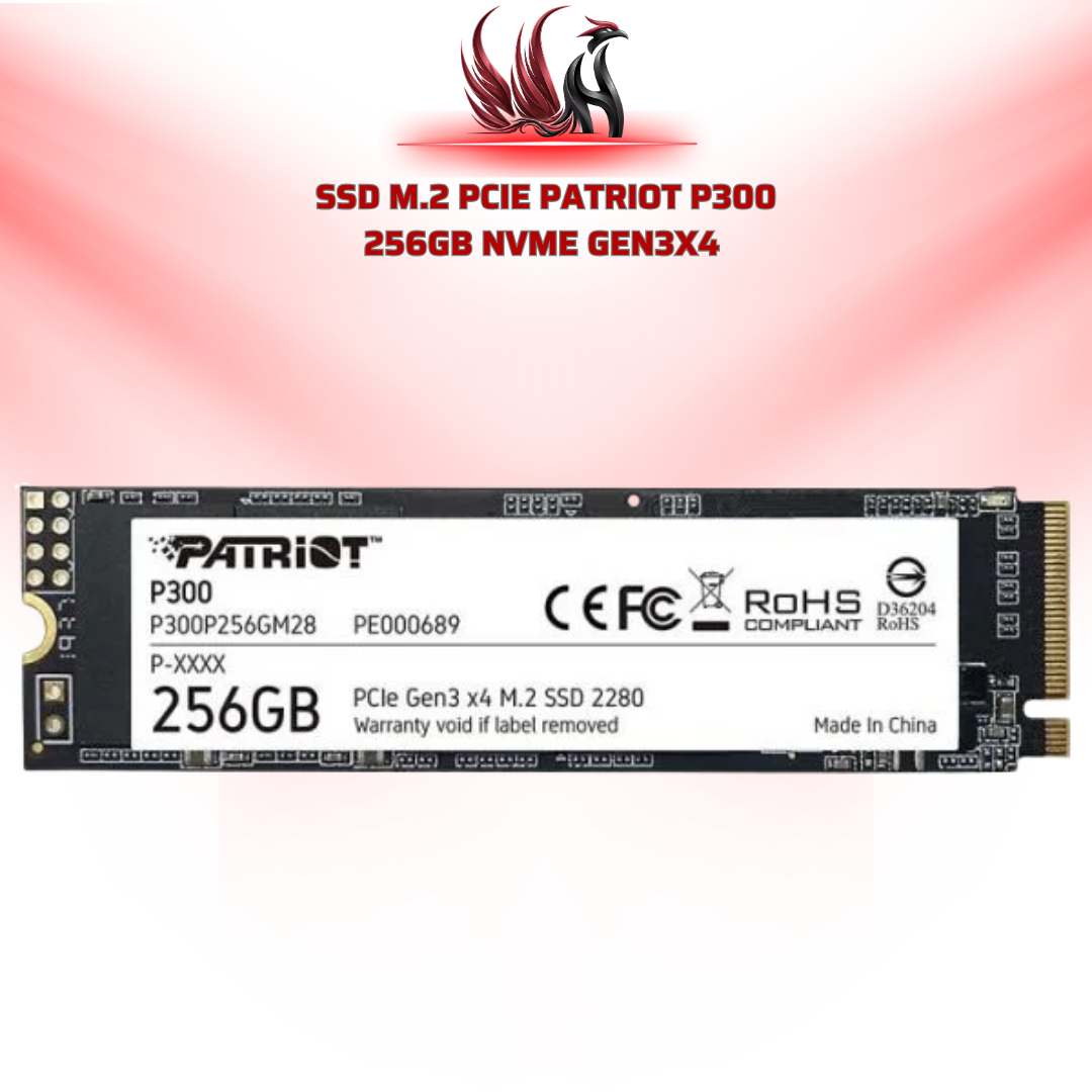 SSD Patriot P300 256GB M.2 NVMe Gen3x4 | HOCO STORE PC