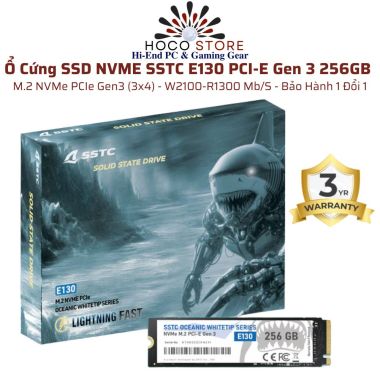 Ổ Cứng SSD NVMe SSTC E130 PCI-E Gen 3 256GB