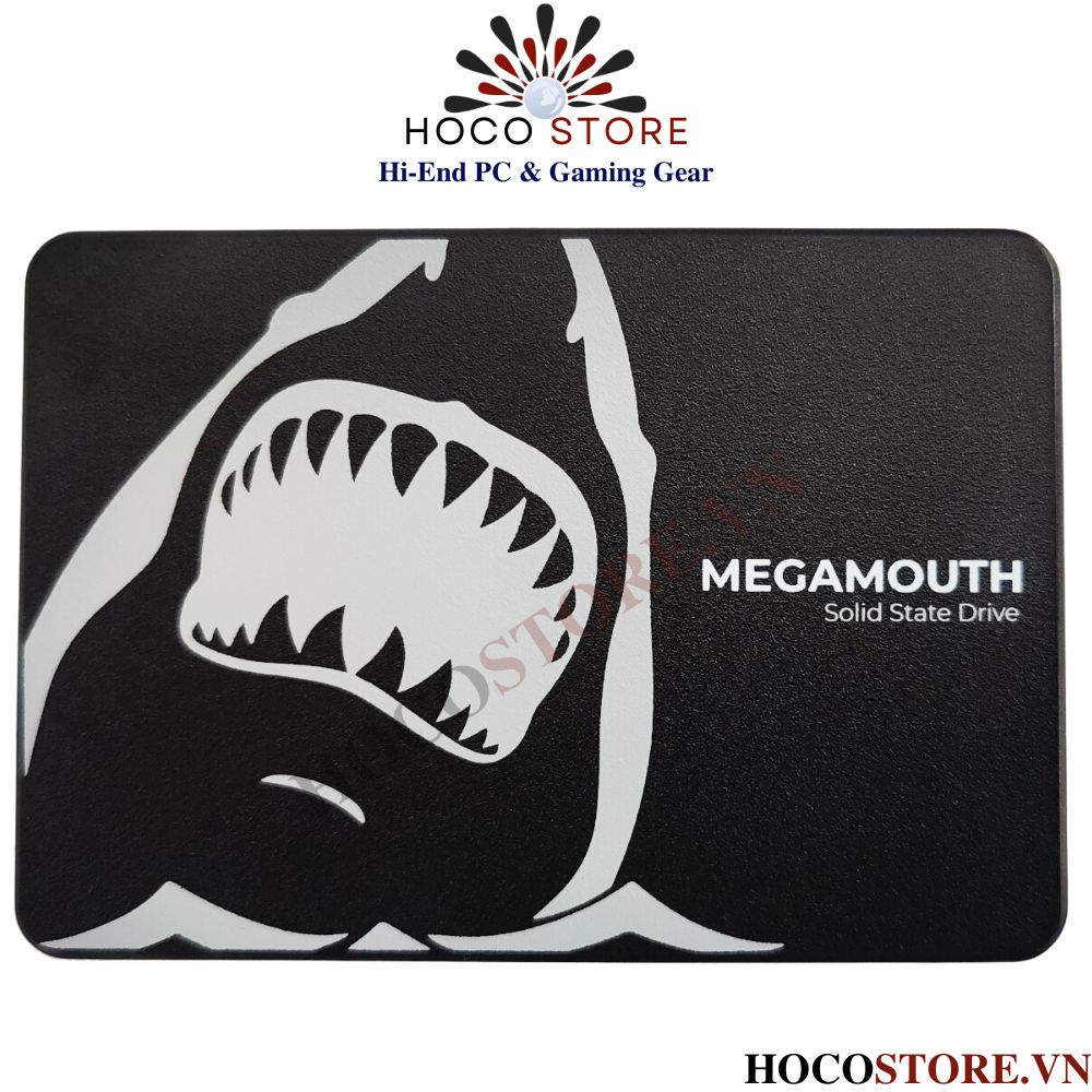 Ổ Cứng SSD SATA 1TB SSTC MEGAMOUTH SATA III 2.5 inch | Hoco Store PC